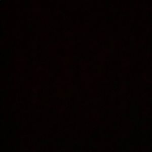 Meet your Posher, Demetrius